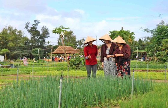 Đón đoàn khách du lịch xông đất Hội An đầu năm ảnh 4