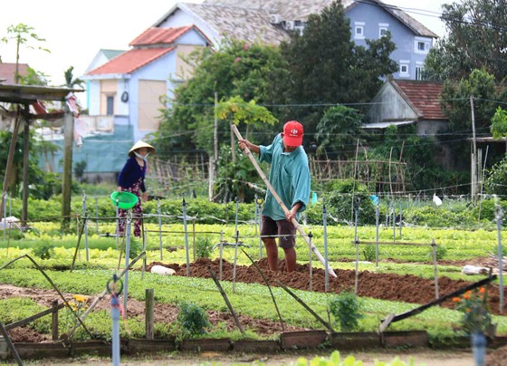 Đón đoàn khách du lịch xông đất Hội An đầu năm ảnh 6