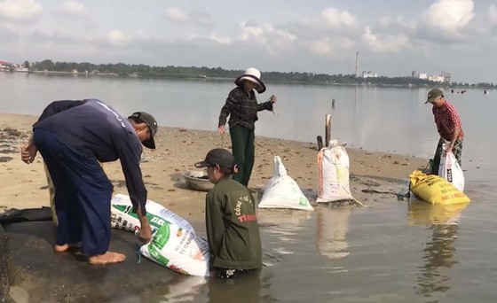 Mưu sinh giữa mùa dịch ảnh 2