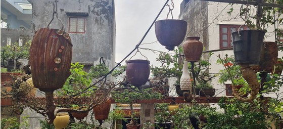 Khám phá vườn bonsai mọc ngược giữa phố ảnh 21