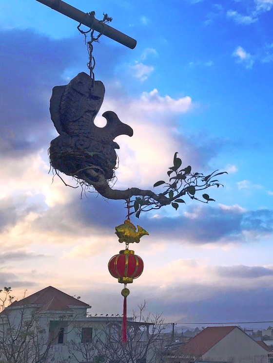 Khám phá vườn bonsai mọc ngược giữa phố ảnh 20