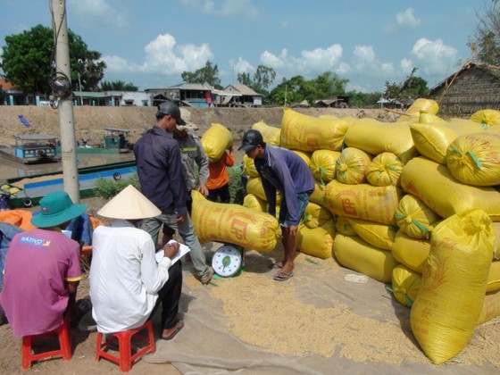 Nâng cao hiệu quả sản xuất lúa cho 8 tỉnh ĐBSCL ảnh 4