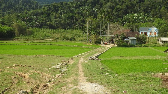 Cảnh cáo chủ tịch xã dùng vốn trái phiếu làm đường bê tông về nhà riêng ảnh 1