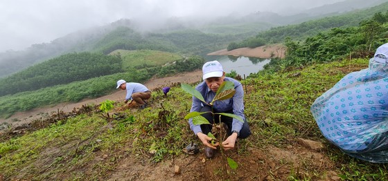 Khôi phục rừng đầu nguồn sông Gianh ảnh 1