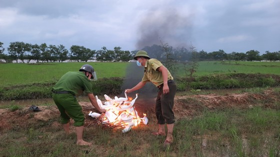 Quảng Bình: Đồng loạt tháo gỡ hàng chục ngàn bẫy chim tự nhiên ảnh 6