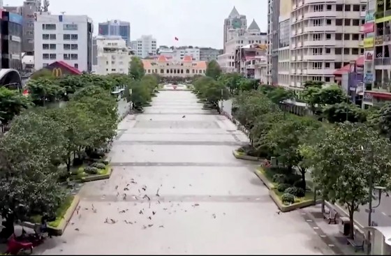 Chương trình giao lưu nghệ thuật trực tuyến đặc biệt “Nối vòng tay lớn” ảnh 3