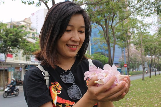 Hoa kèn hồng khoe sắc trên đại lộ ảnh 12