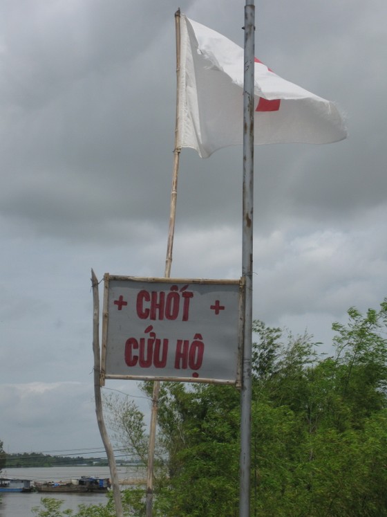 ĐBSCL: Dồn sức bảo vệ hàng chục ngàn ha lúa bị ngập lũ ảnh 1
