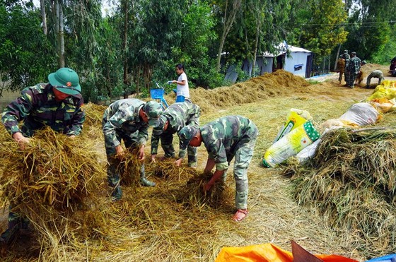Hơn 40.000 ha lúa ở Kiên Giang bị lũ đe dọa ảnh 1