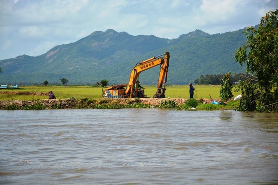 Lũ vượt báo động 2, nhiều nơi ngưng xuống giống lúa thu đông ảnh 2