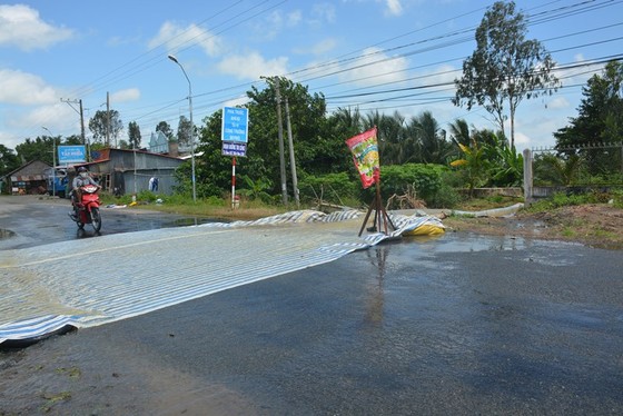 Lũ vượt báo động 2, nhiều nơi ngưng xuống giống lúa thu đông ảnh 1