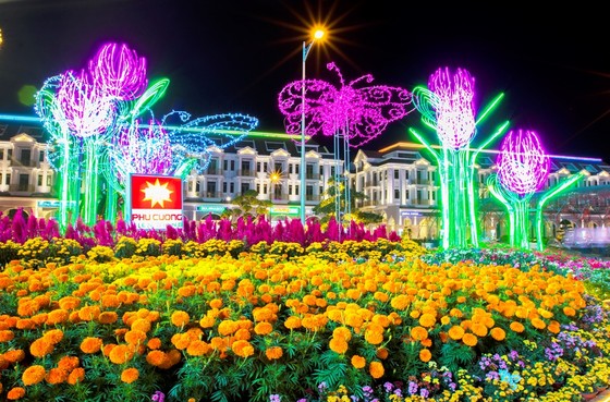 Đặc sắc đường hoa xuân ở phố biển Rạch Giá ảnh 5