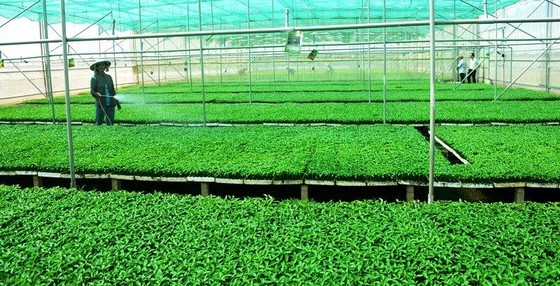 ĐBSCL: Chuyển hướng sản xuất theo kinh tế nông nghiệp ảnh 3