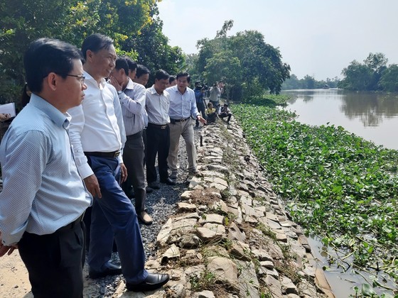Khánh thành công trình kè mềm chống sạt lở ở Đồng Tháp ảnh 2