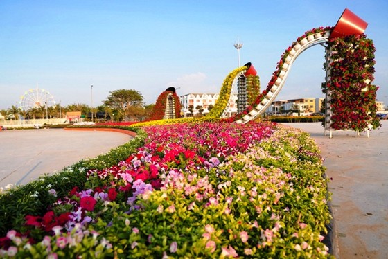 Rực rỡ những đường hoa xuân phục vụ Tết Canh Tý ở ĐBSCL ảnh 12