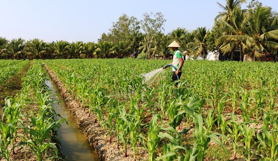 Tìm giải pháp phát triển bền vững cộng đồng Khmer Nam bộ ảnh 3
