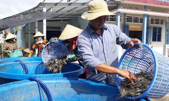 Vĩnh Thuận phấn đấu bình quân thu nhập đầu người đạt 70 triệu đồng ảnh 2
