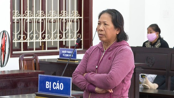 Lãnh án 13 năm tù về tội lừa đảo hơn 11 tỷ đồng ảnh 1