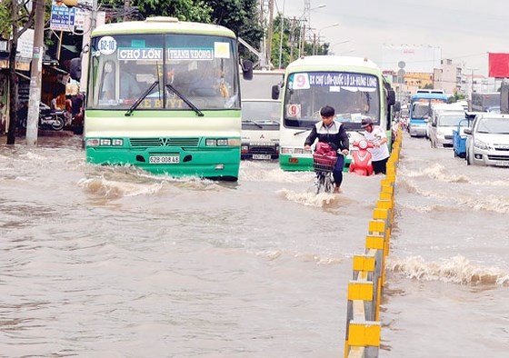 TPHCM huy động nguồn vốn chống ngập ảnh 6