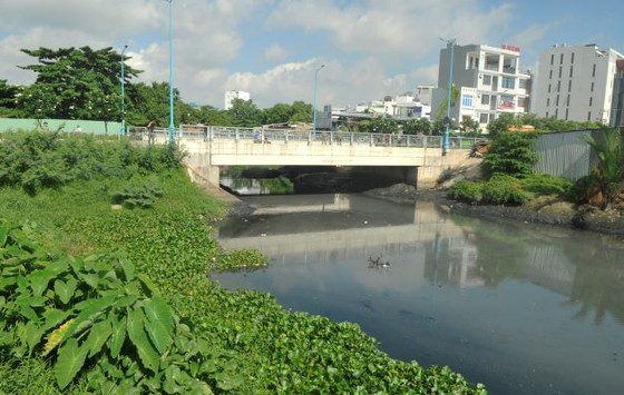 Khẩn trương triển khai dự án rạch Xuyên Tâm ảnh 1