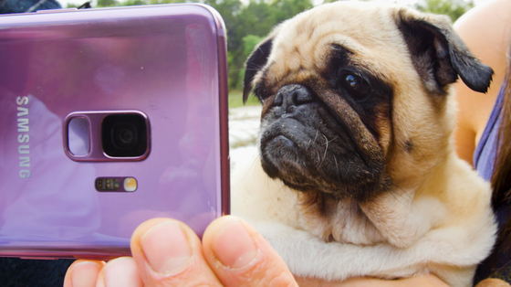 Samsung hợp tác cùng BuzzFeed và The Dodo để thêm "sức mạnh" cho quay siêu chậm trên Galaxy S9|S9+ ảnh 1