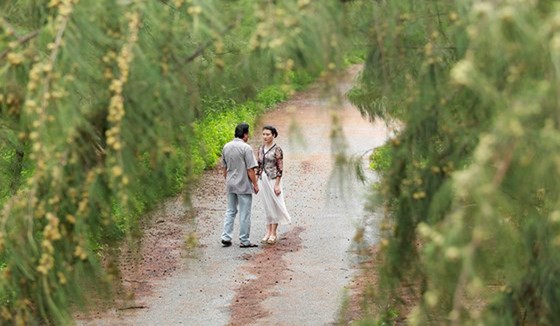 Phim truyền hình "bom tấn" Việt sắp lên sóng VTV3 ảnh 2