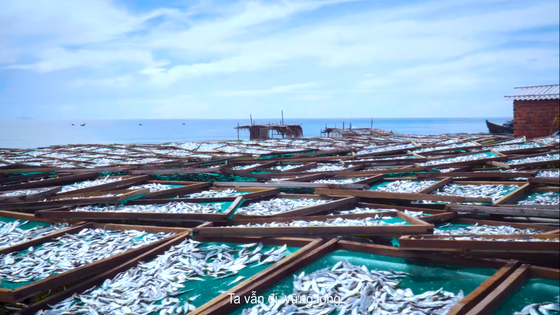 Việt Nam tươi đẹp rạng ngời trong “Ước nguyện” của nhạc sĩ Đỗ Phương ảnh 4