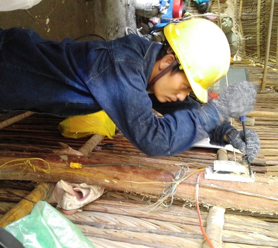 Chiến dịch Kỳ nghỉ hồng: Chăm sóc hệ thống điện cho dân nghèo ảnh 2