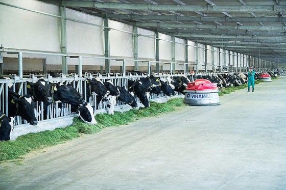 Vinamilk “phủ sóng” nhiều các bảng xếp hạng uy tín trong và ngoài nước ảnh 2