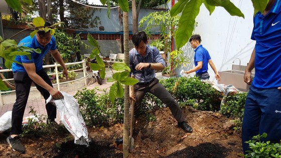 TPHCM: Tăng cường các biện pháp đảm bảo an toàn trường học trong mùa mưa bão ảnh 1