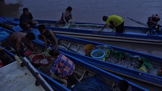 Chợ 'hẹn' miền Tây ảnh 1