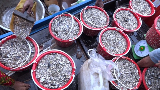 Chợ 'hẹn' miền Tây ảnh 3