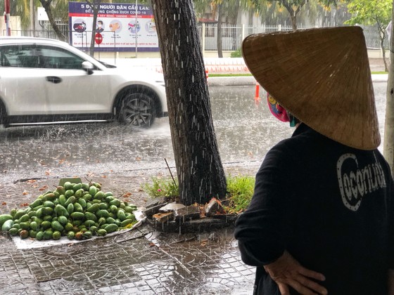 Xuất hiện mưa 'vàng' giải nhiệt cho ĐBSCL ảnh 4