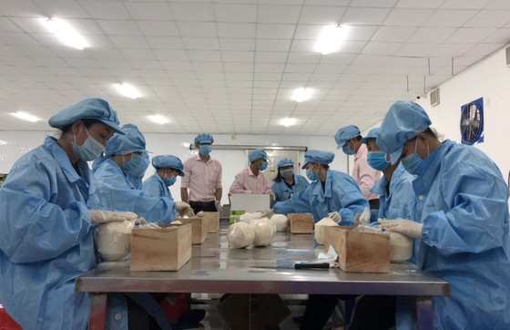 Xuất khẩu lô hàng trái cây đầu tiên sang châu Âu theo Hiệp định EVFTA ảnh 2