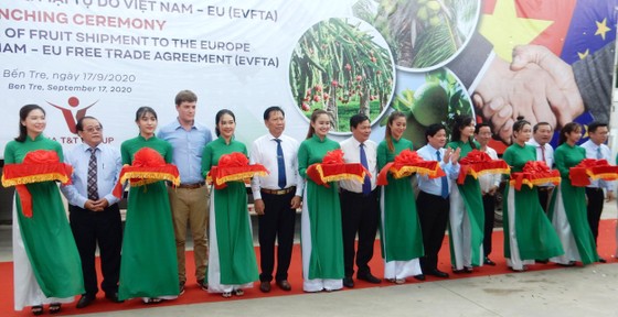 Xuất khẩu lô hàng trái cây đầu tiên sang châu Âu theo Hiệp định EVFTA ảnh 1