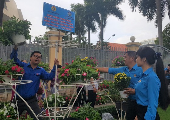 Gần 1.000 chậu hoa làm đẹp đường An Dương Vương ảnh 2