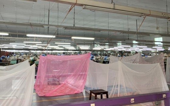 Nhiều doanh nghiệp sản xuất tại TPHCM nỗ lực bảo đảm '3 tại chỗ' ảnh 3