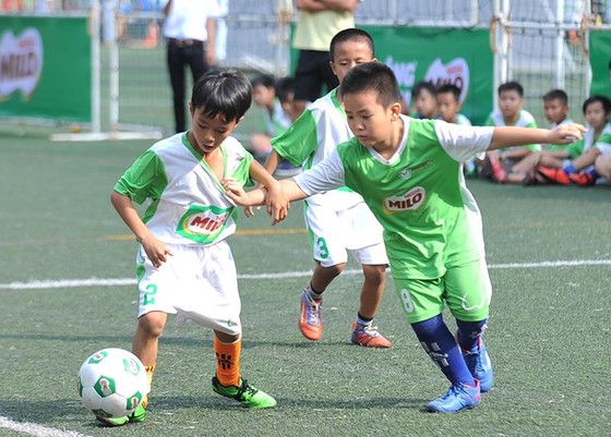 Các cầu thủ nhí tham dự Festival bóng đá học đường TPHCM năm học 2018-2019. Ảnh: NGUYỄN NHÂN