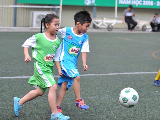 Festival bóng đá học đường TPHCM năm học 2018-2019: 186 đội dự vòng chung kết ảnh 2