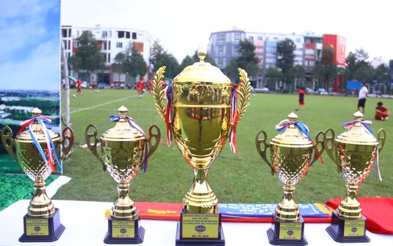 CLB Hoàng Gia đăng quang giải bóng đá TP Mới Bình Dương - Cúp Becamex IDC 2019 ảnh 1