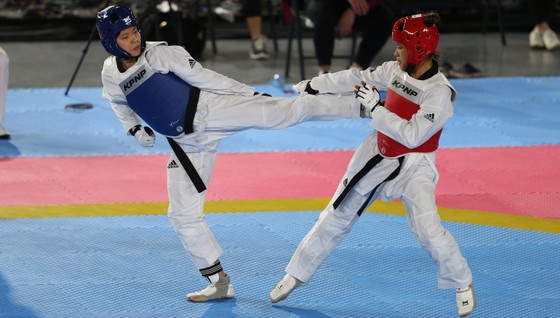 Taekwondo, karatedo bùng nổ với cơn mưa HCV ảnh 1