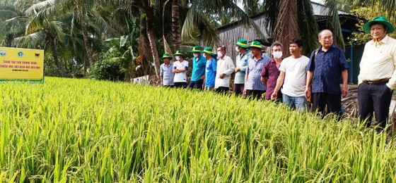 Các chuyên gia của Cty Bình Điền và Trug tâm khuyến nông các tỉnh luôn đồng hành cùng bà con nông dân áp dụng mô hình Canh tác lúa thông minh trong vụ Hè Thu 2021.