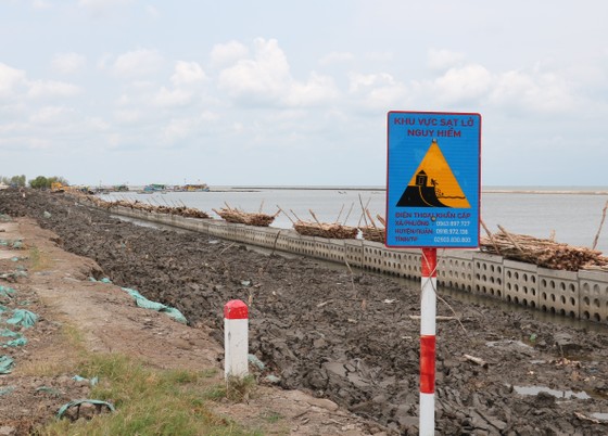 Cà Mau: Nhiều đoạn đê biển Tây bị sạt lở, có thể gây vỡ đê bất cứ lúc nào ảnh 1
