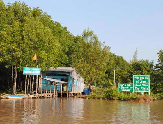 Bắt giam nguyên Giám đốc Vườn quốc gia Mũi Cà Mau về hành vi tham ô và lập quỹ trái phép ảnh 1