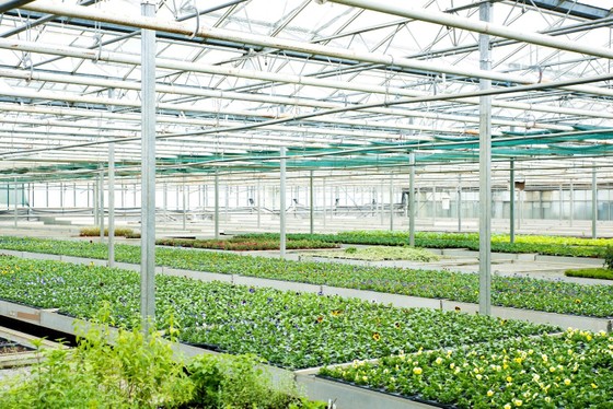 VsetGroup hỗ trợ các dự án khởi nghiệp có ý tưởng tốt ảnh 2