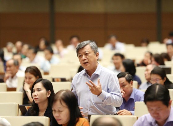 Đại biểu Quốc hội đề nghị xóa quy hoạch điện hạt nhân ở Ninh Thuận ảnh 1