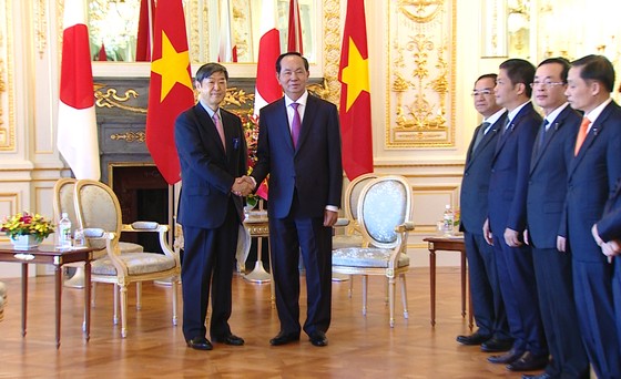Chủ tịch nước Trần Đại Quang hội kiến với Chủ tịch Hạ viện Nhật Bản ảnh 3