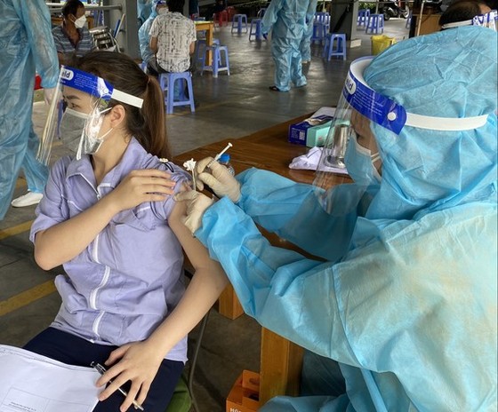 Chủ động tầm soát, tránh phát sinh ổ dịch tại nơi sản xuất ảnh 1