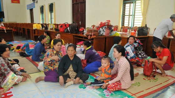 TPHCM khẩn trương phòng chống cơn bão số 9 ảnh 25