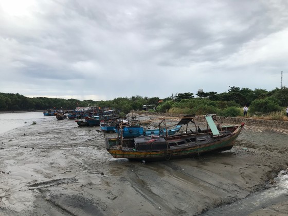 TPHCM khẩn trương phòng chống cơn bão số 9 ảnh 2